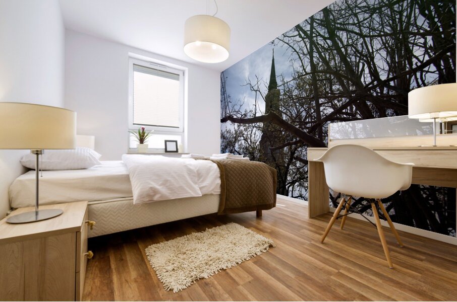 St Philips 2 Mural print