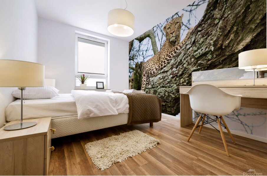 Leopard on high Mural print