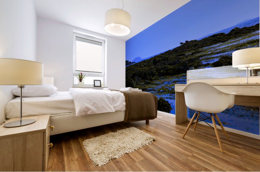 Blue Harpswell   Mural print