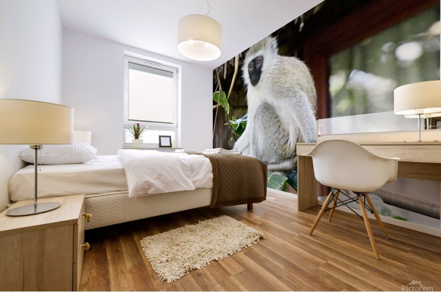 DSC 7014 Mural print