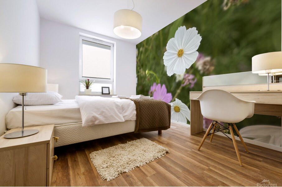 IMG 7088 Mural print