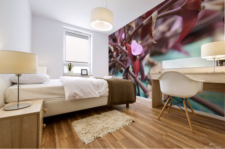 Cuba pink cup flower Mural print