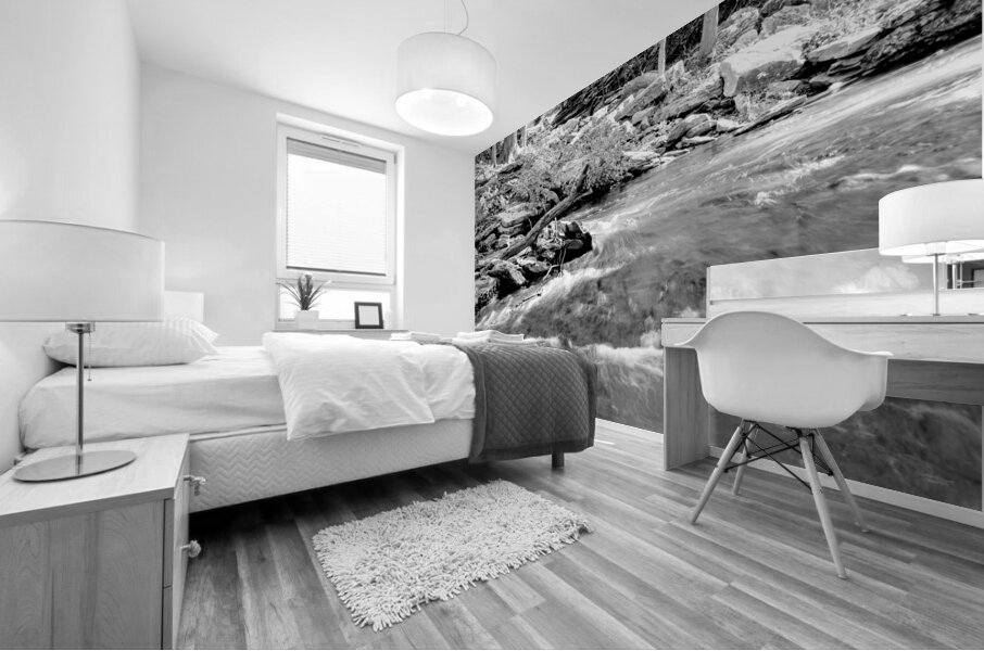 Tanyard Creek Rushing Water Grayscale Mural print
