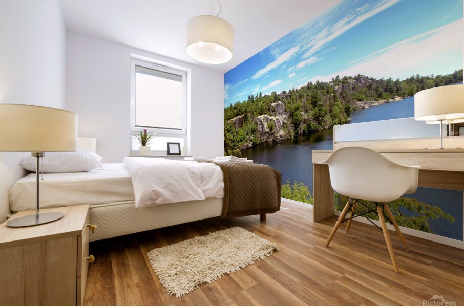 Minnewaska The Lake Mural print