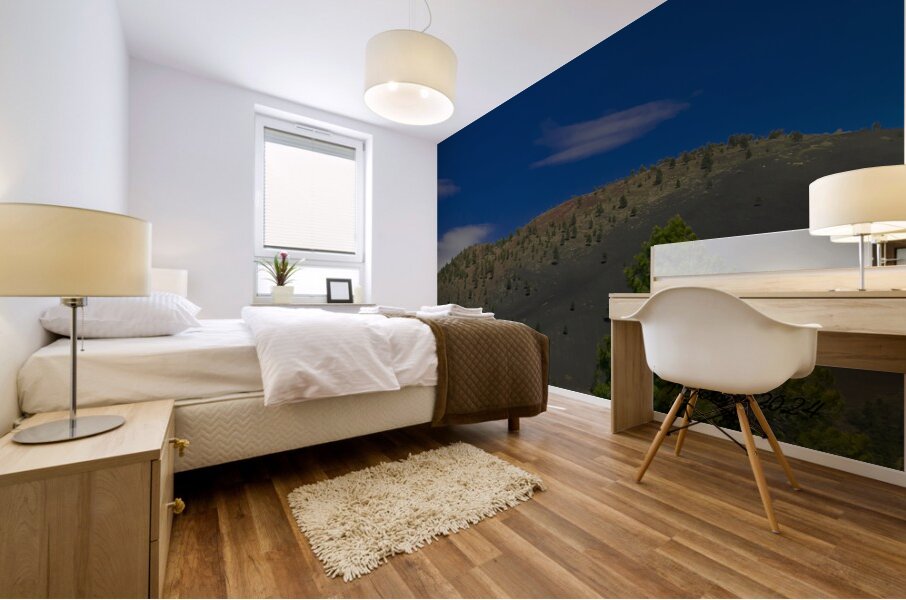 Sunset Crater Volcano National Monument AZ 46 46. Mural print