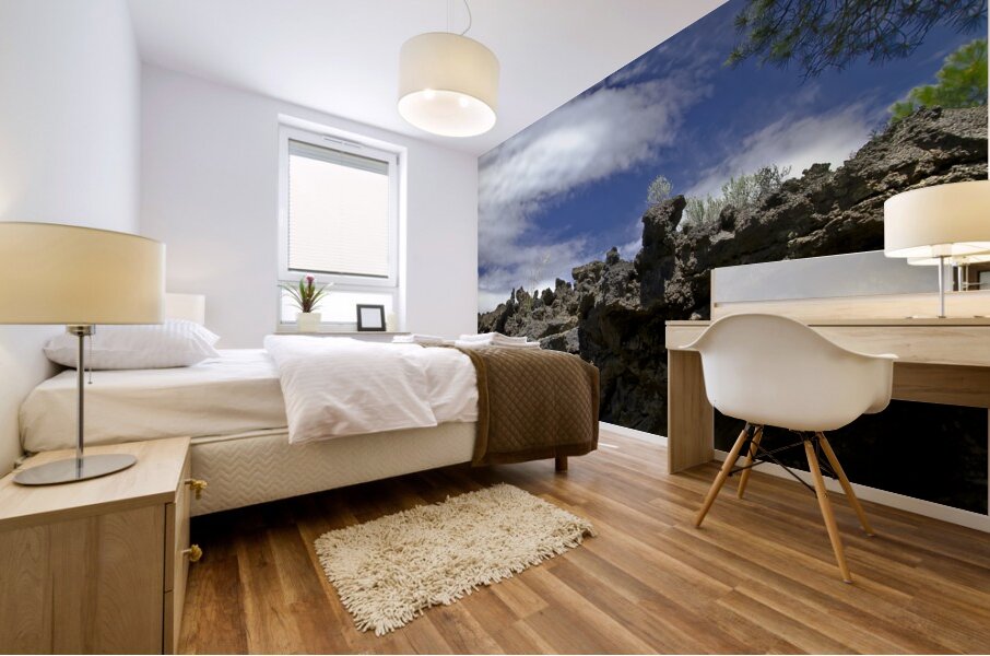 Sunset Crater Volcano National Monument AZ 46 14. Mural print