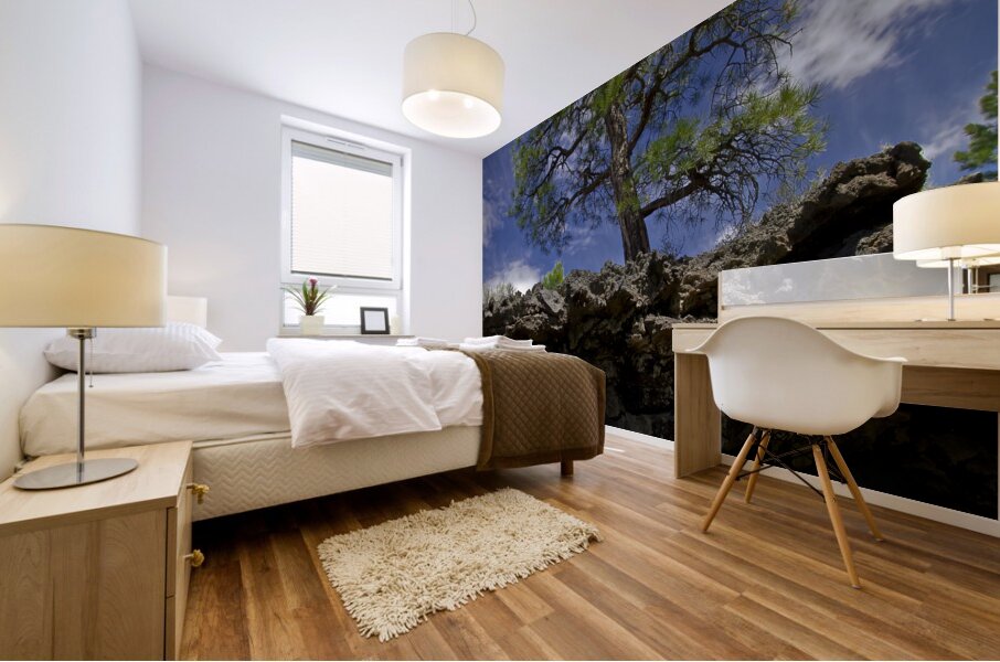 Sunset Crater Volcano National Monument AZ 46 15. Mural print