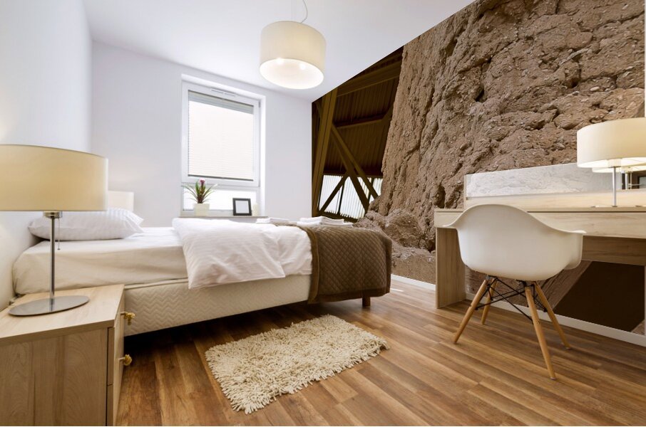 Casa Grande Ruins National Monument AZ 58 Mural print