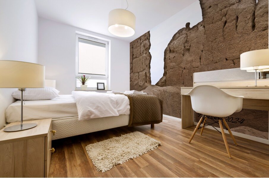 Casa Grande Ruins National Monument AZ 54 Mural print