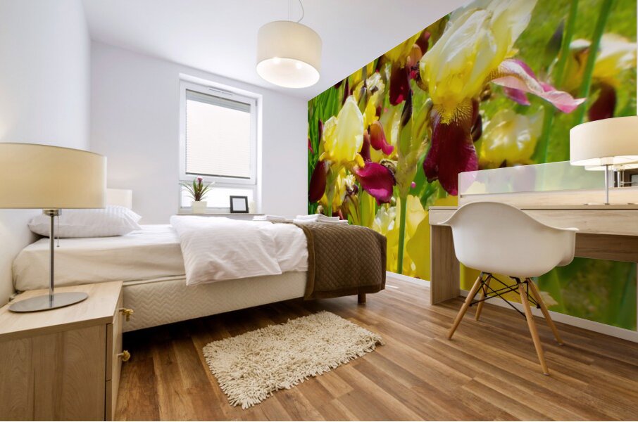 DSC 6499 1 2 Mural print