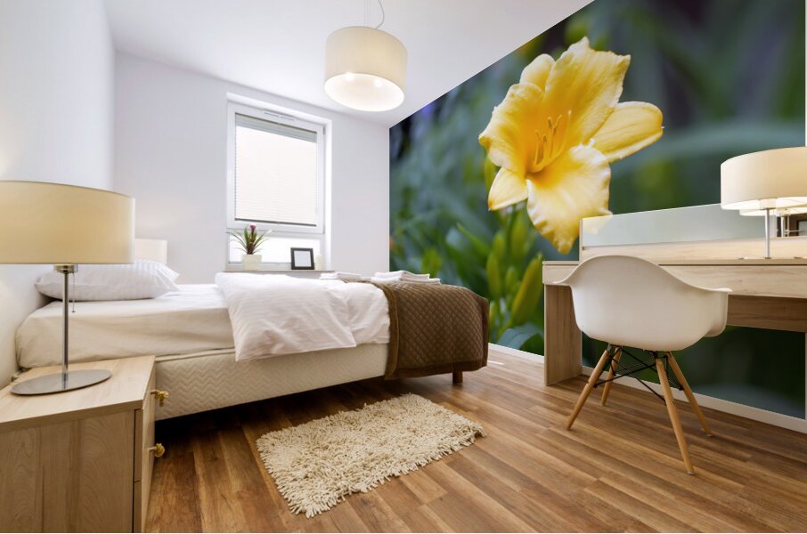 DSC 7633 1 Mural print