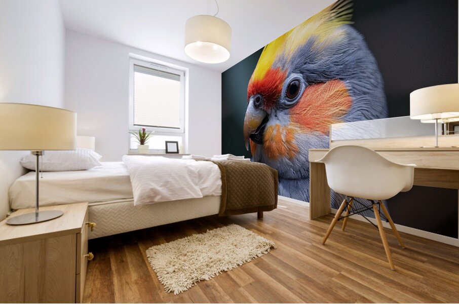 Cockatiel Bird Mural print