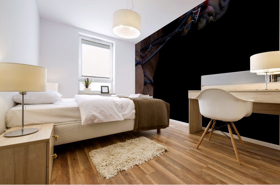 BZ9 4165 Enhanced NR Mural print