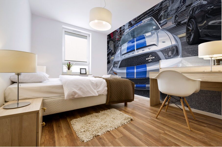 2008 Ford Shelby GT500KR X 2 Mural print