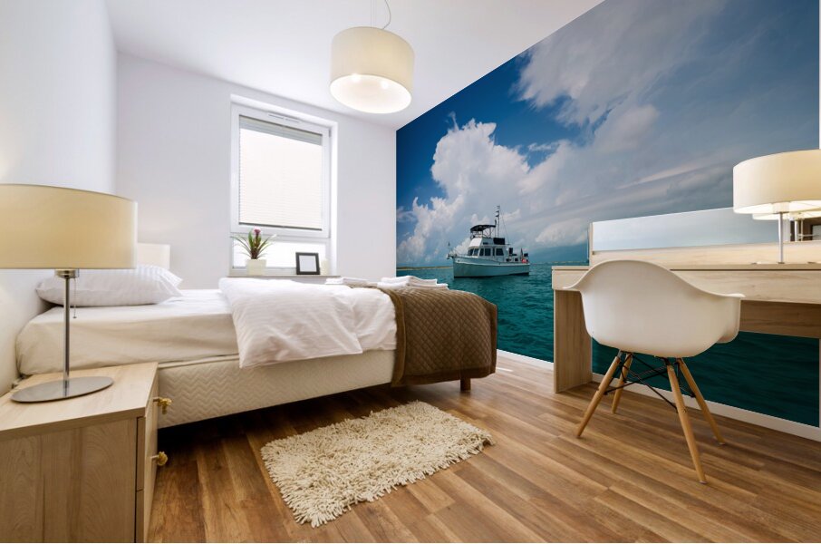 Shangri-La -11 Mural print