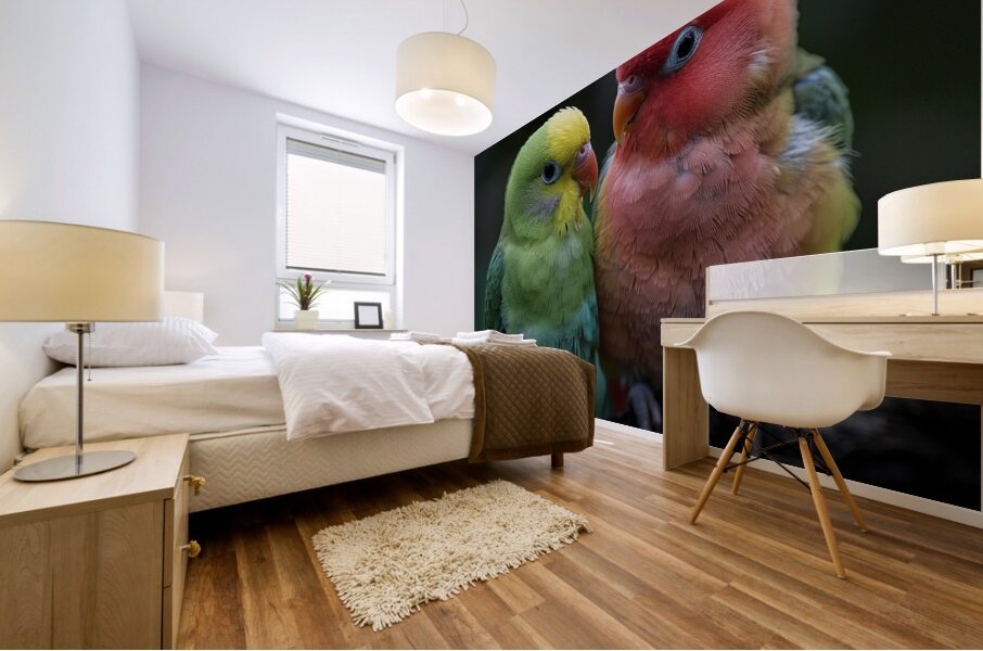 Serene Lovebird Mural print