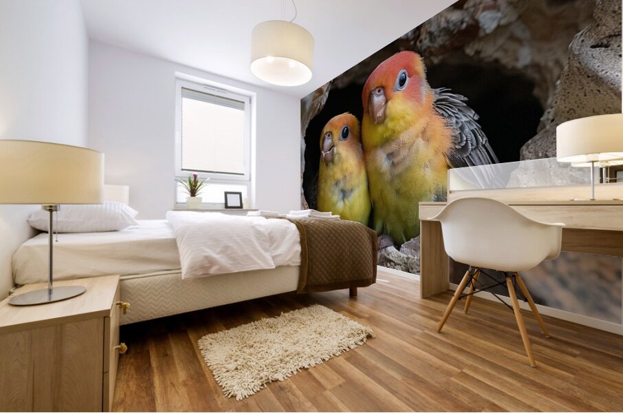 Devoted Lovebirds Mural print