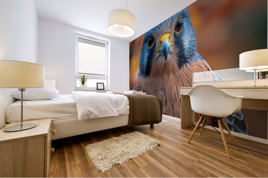 Majestic Quail  Mural print