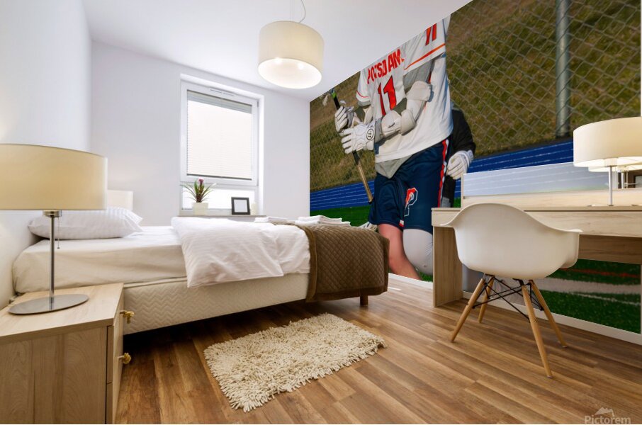 Potsdam Lacrosse Mural print