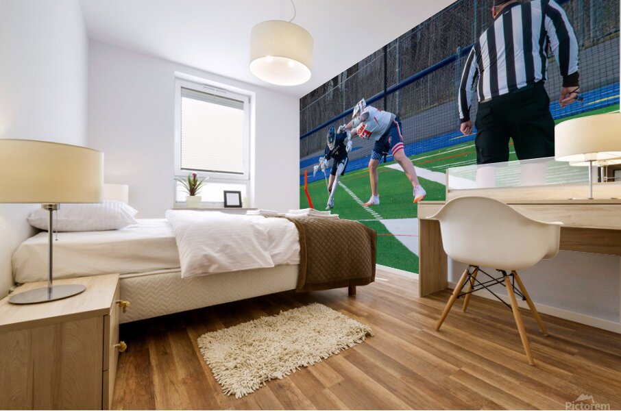 Potsdam Lacrosse Mural print