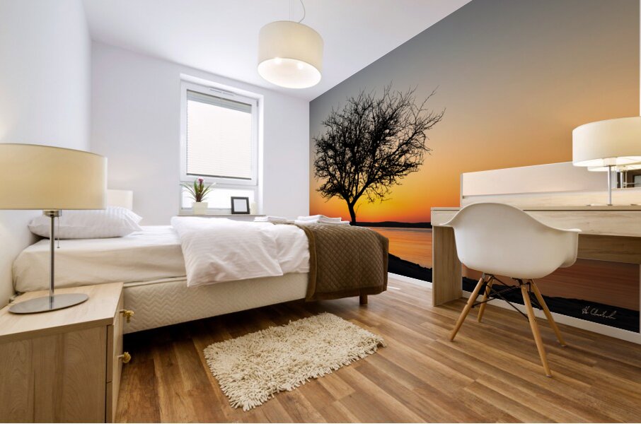 Morning Golden Hour Mural print