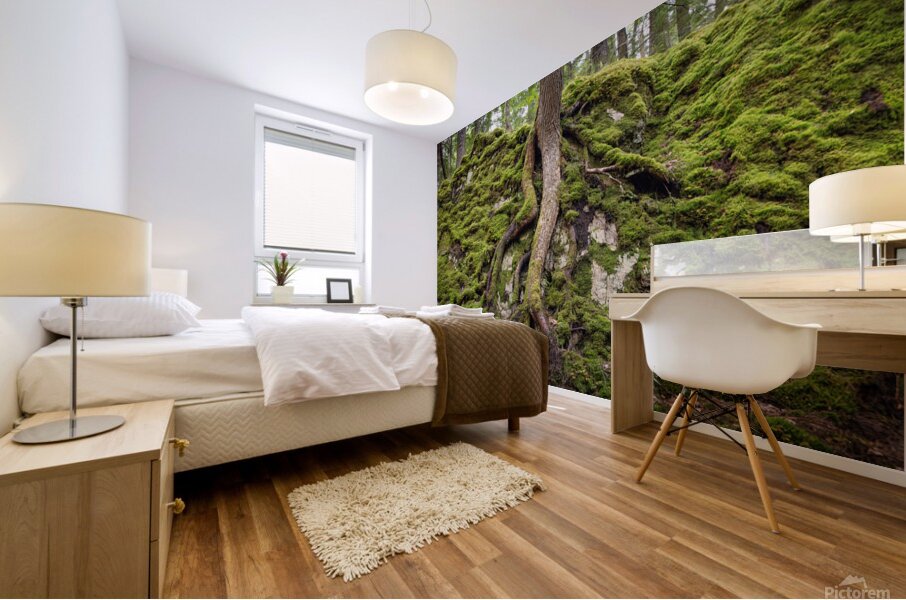 Giant Tree Roots Among the Moss Mural print