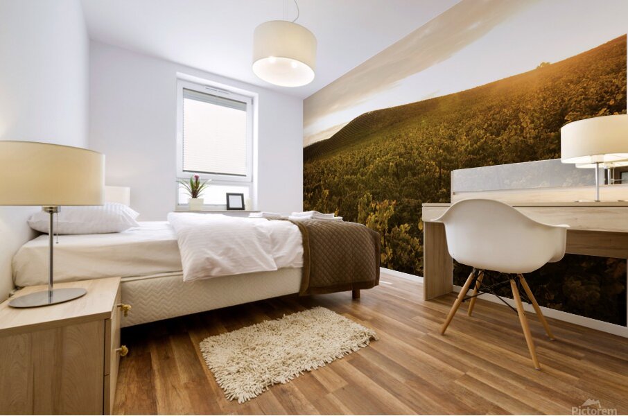 Olivier St-onge 3 Mural print