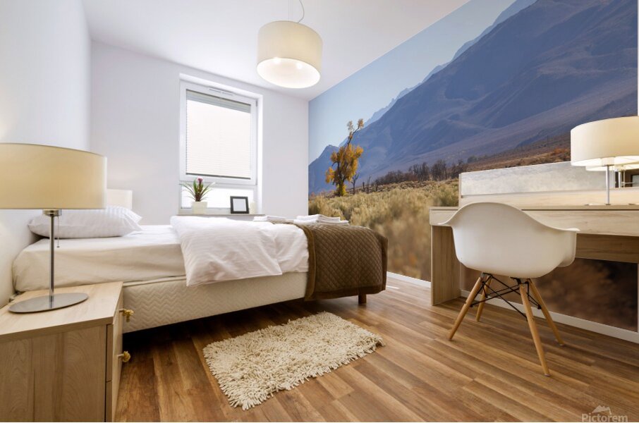 Olivier St-onge 8 Mural print