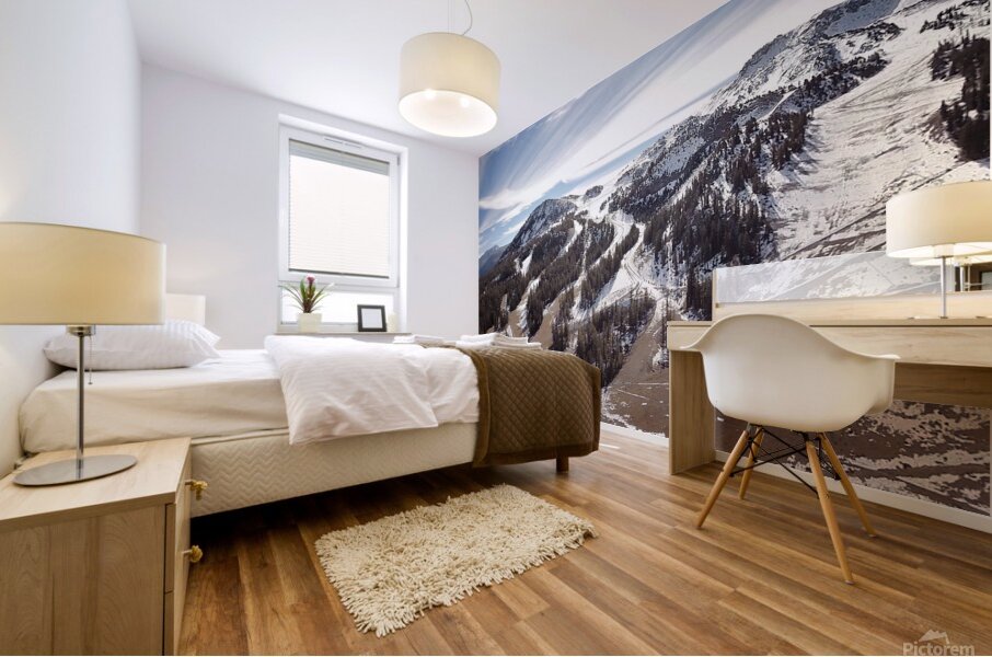 Olivier St-onge 10 Mural print