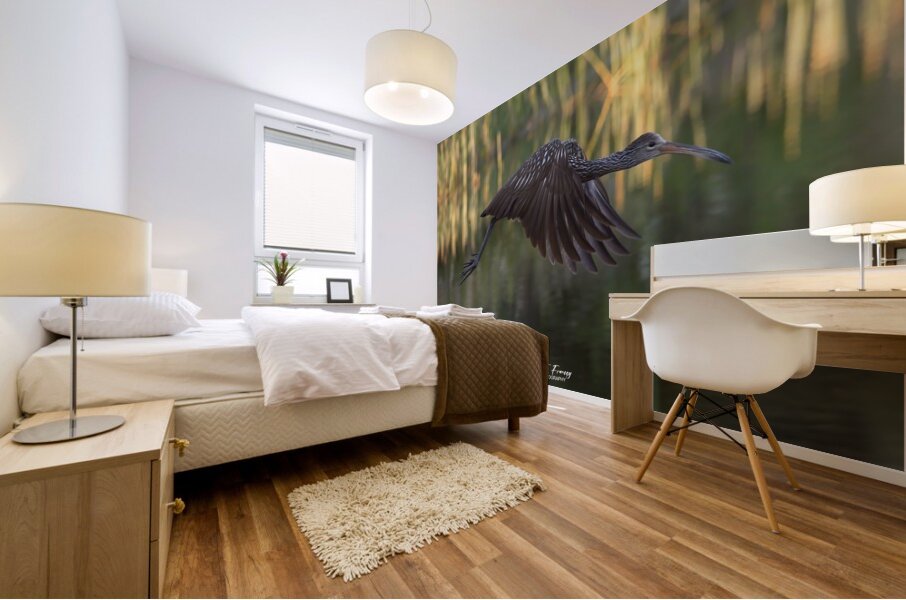 IMG 2120FlyingLimpkin Mural print