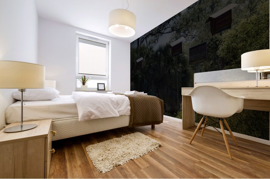 IMG 2542BatHouses Mural print