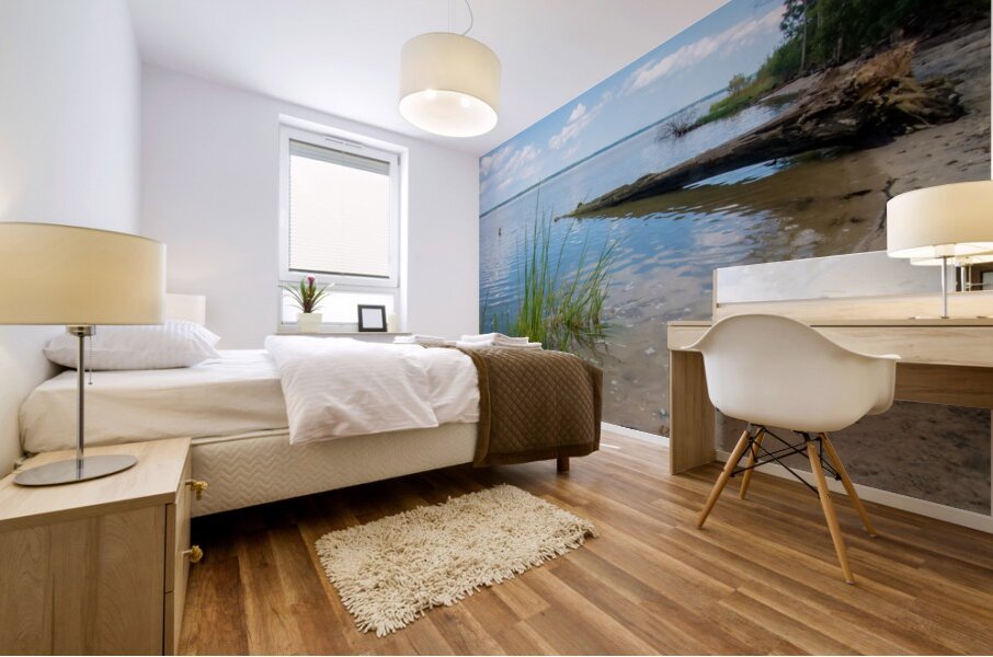 5 DSC 2161 1 Mural print