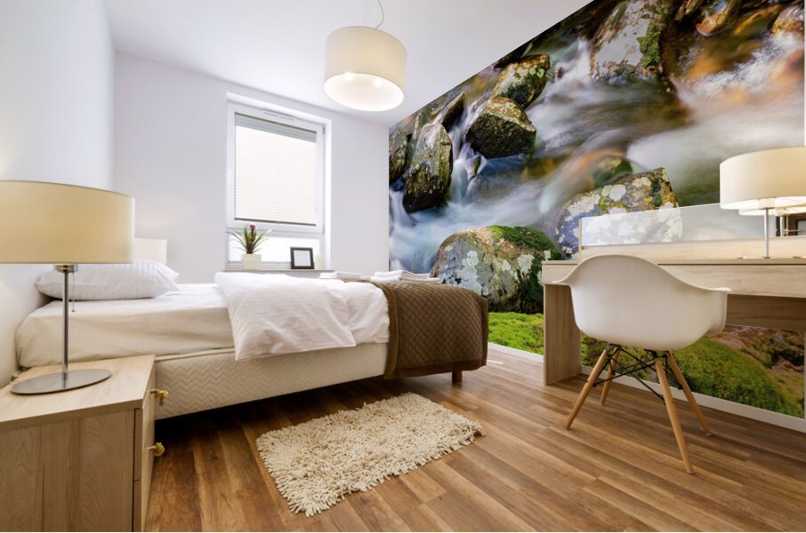 Le murmure de leau Mural print