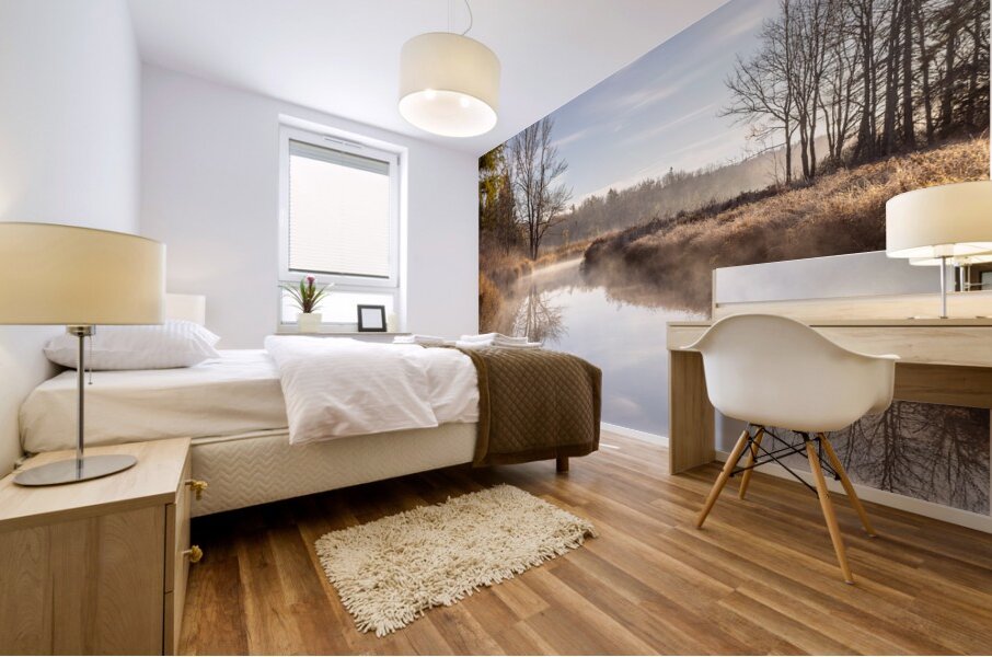 Mirror Image Mural print