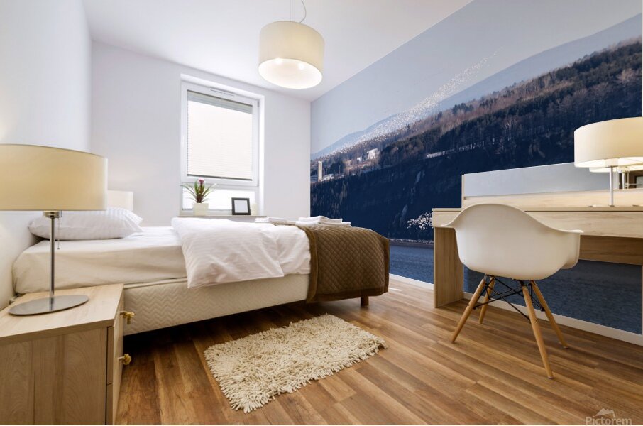 Oies blanches 1 Mural print