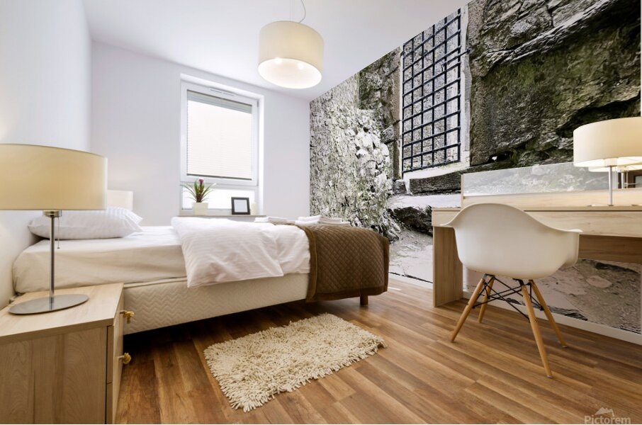 Blarney Castle Door Ireland Mural print