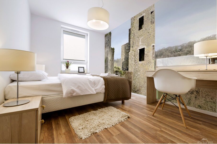 Blarney Castle Tower Ireland Mural print