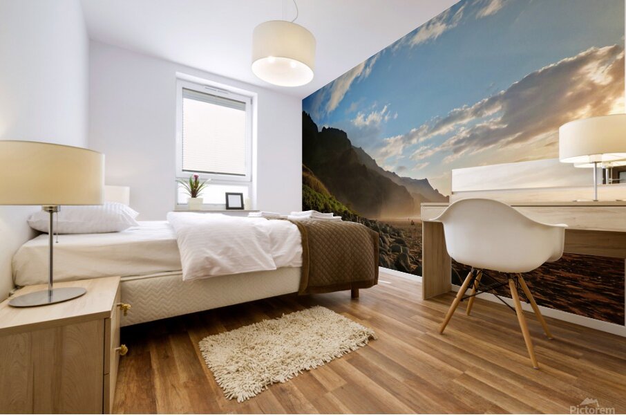 Olivier St-onge 3 Mural print