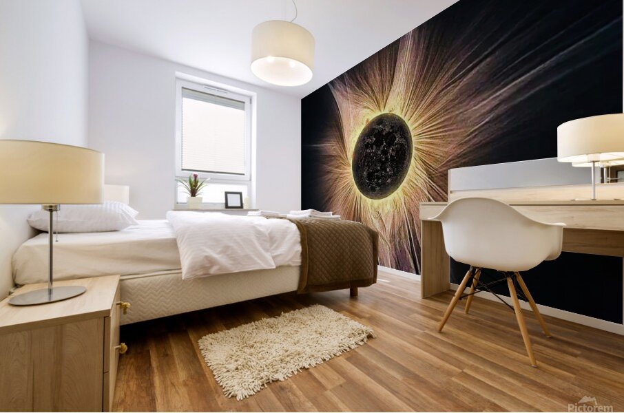 Moon Covers Sun Mural print