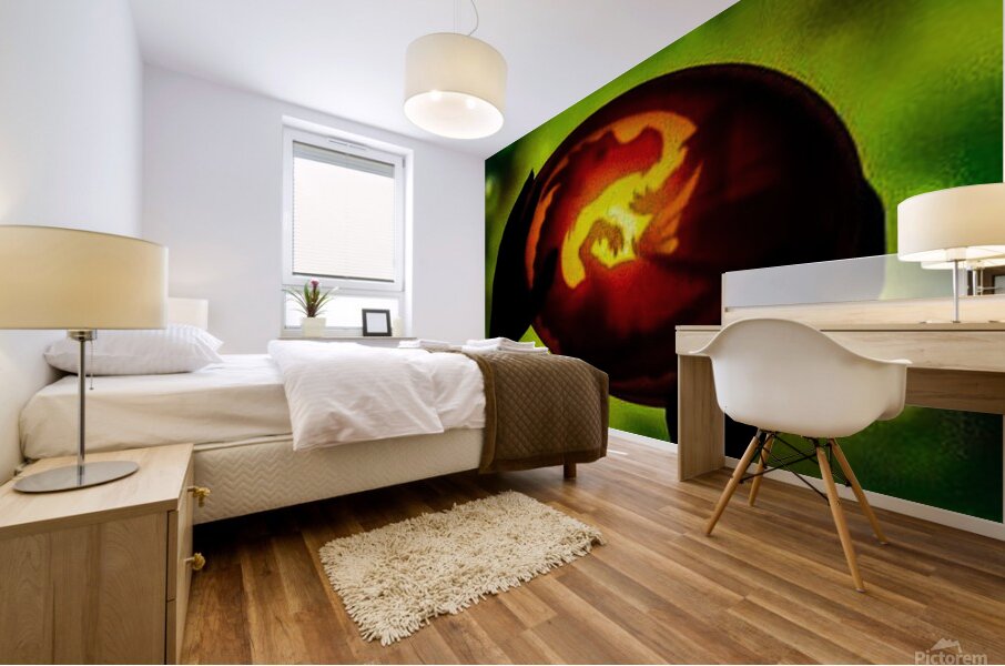 Dragon Egg Mural print