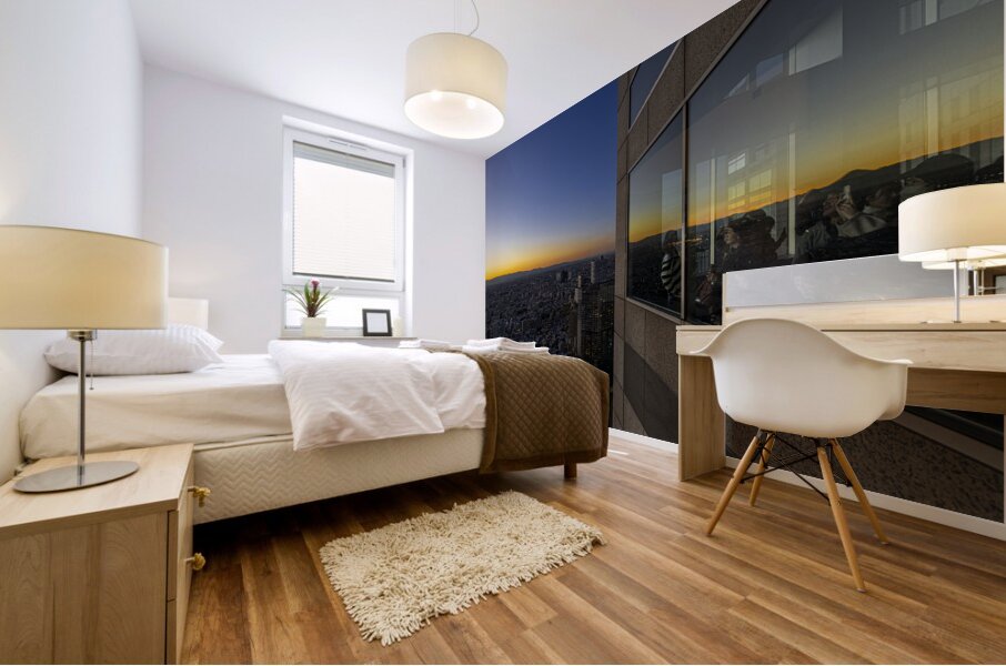 people observe the Tokyo cityscape from the government building Mural print