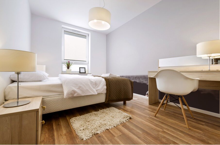 Policemans Point Pelicans Mural print