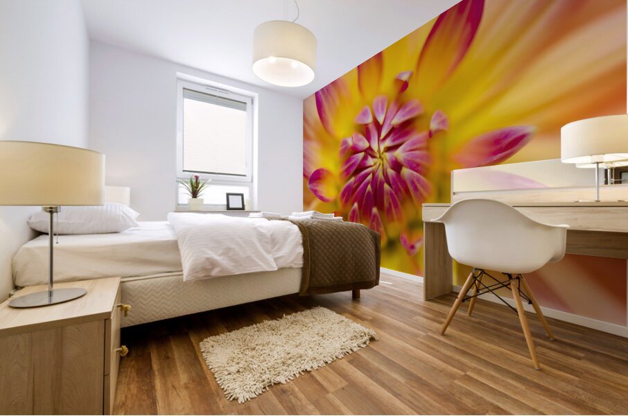 Beautiful colourful flower macro. Spring beauty Mural print