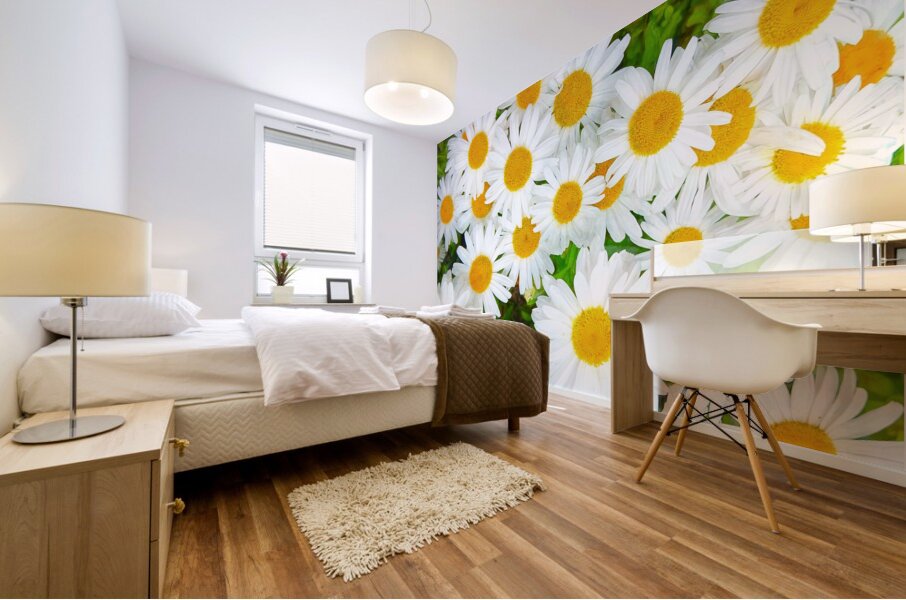 Shasta Daisies to Cheer You Up Mural print