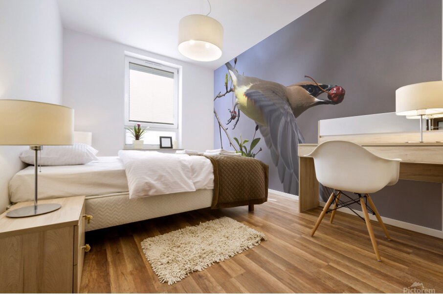 Jaseur Boreal10 Mural print