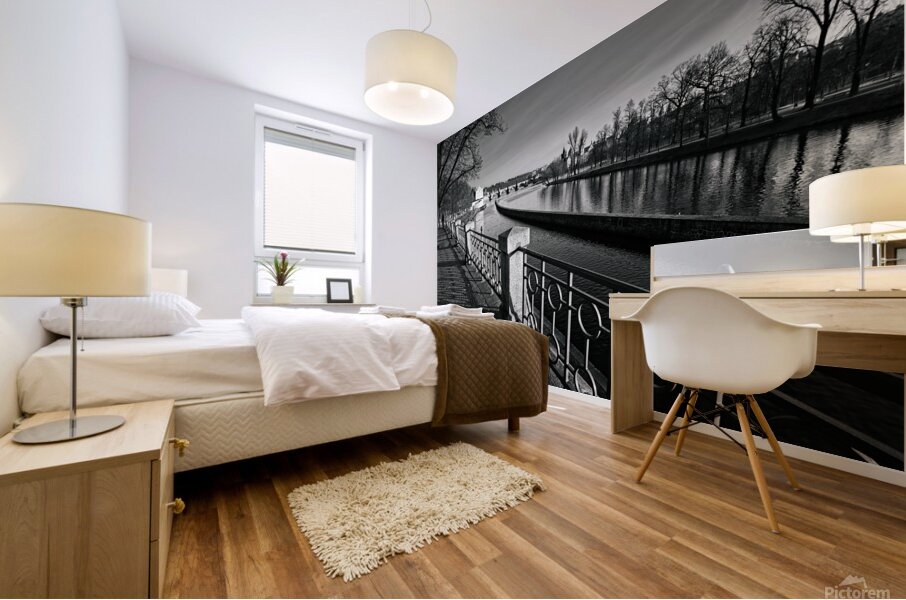  The Vltava embankment - Prague Czechia Mural print