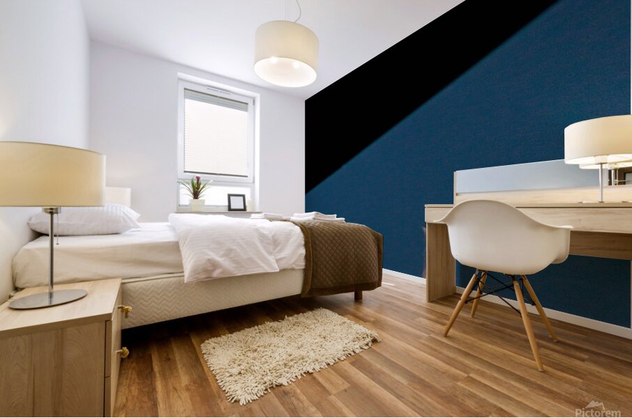 IMG 6347 Mural print