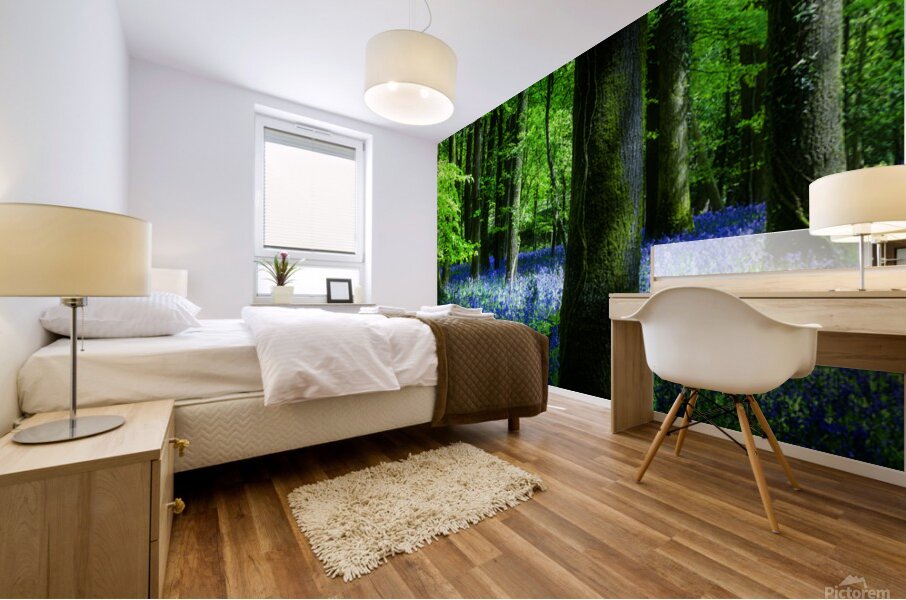 Bluebell Wood Devon Mural print