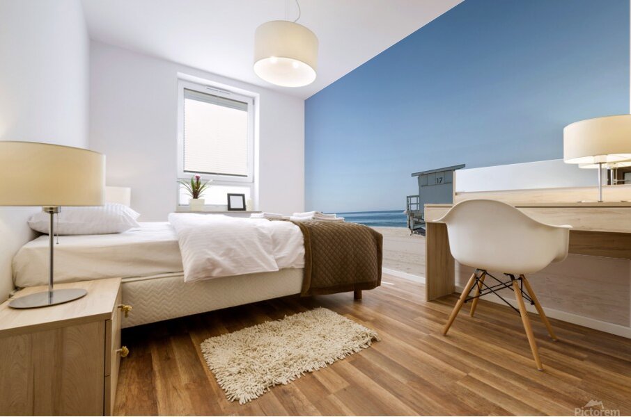 The Horizen Mural print