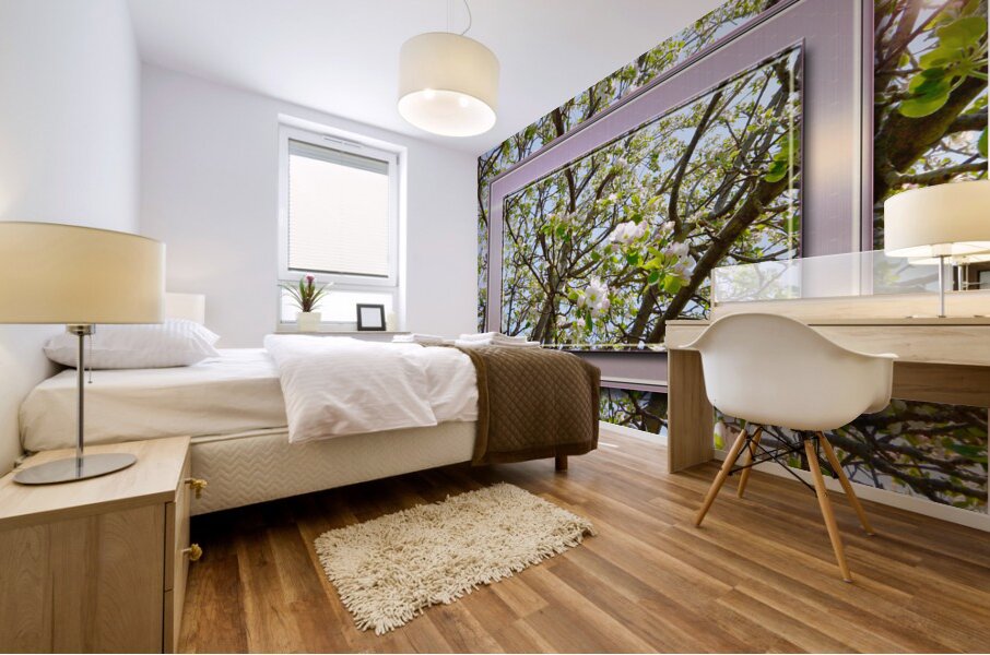 Apple Blossoms Version 3  Mural print